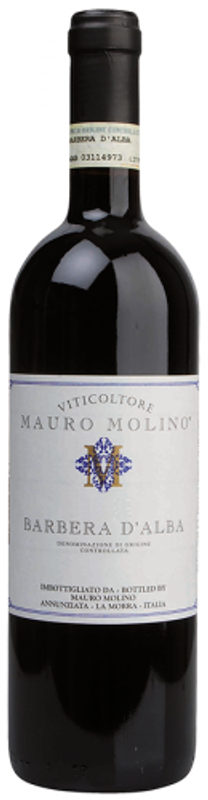 Flasche Barbera d'Alba DOC von Mauro Molino