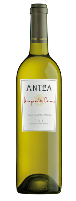 Image of Marqués de Cáceres Rioja DOCa Blanco Antea - 75cl - Oberer Ebro, Spanien bei Flaschenpost.ch