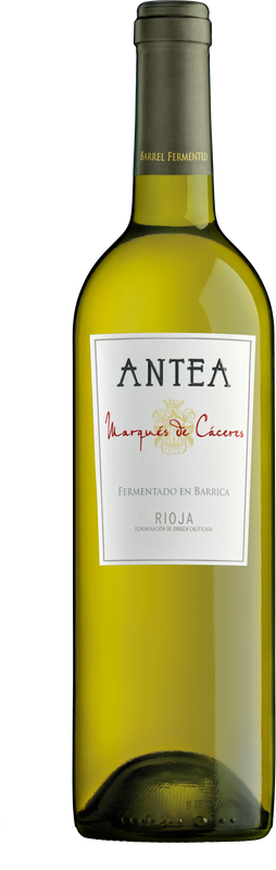 Flasche Rioja DOCa Blanco Antea von Marqués de Cáceres