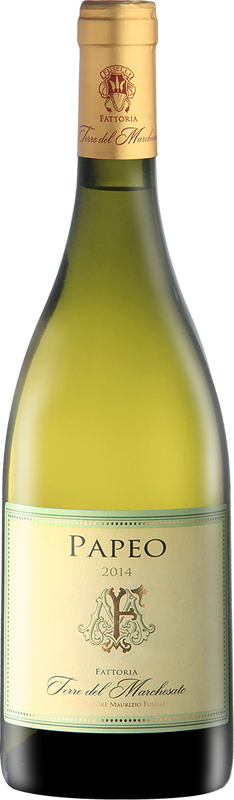 Bottle of PAPEO Bianco Toscana IGT from Terre del Marchesato