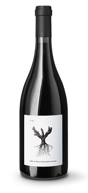 Image of Bodegas y Viñedos Alnardo PSI Ribera del Duero DO - 75cl - Duero-Tal (Castilla y Leon), Spanien bei Flaschenpost.ch