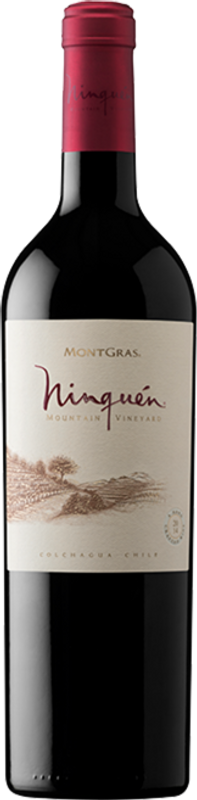 Bouteille de Ninquen Mountain Vineyard of Colchagua Valley de Montgras