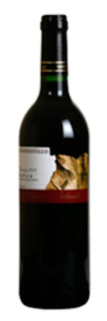 Image of Navarrsotillo Rioja Crianza DOCa „Magister Bibendi“ - 75cl - Oberer Ebro, Spanien bei Flaschenpost.ch