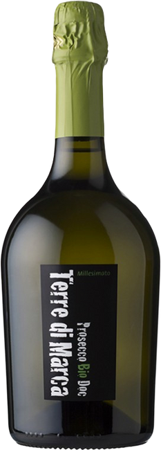 Image of Corvezzo Prosecco DOC Terre di Marca - 75cl - Veneto, Italien bei Flaschenpost.ch