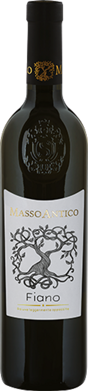 Flasche Masso Antico Fiano Salento IGT Appassimento von Cantine di Ora