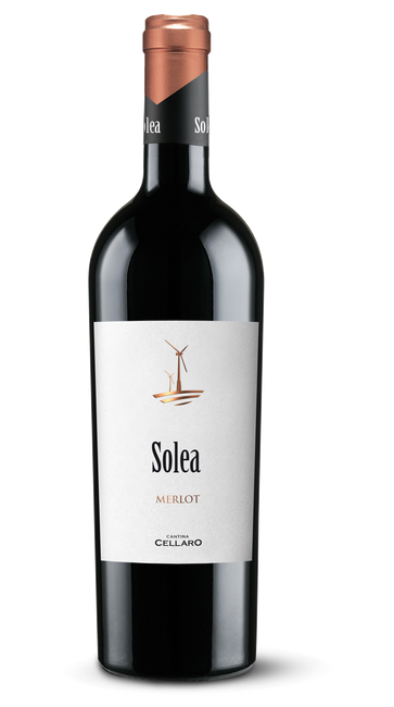 Image of Cantine Cellaro Solea Merlot Sicilia IGT - 75cl - Sizilien, Italien bei Flaschenpost.ch