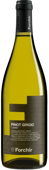 Image of Forchir Lamis Pinot Grigio DOC Grave Friuli - 75cl - Friaul, Italien bei Flaschenpost.ch