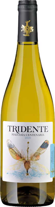 Bottle of Malvasia Centenaria from Tridente