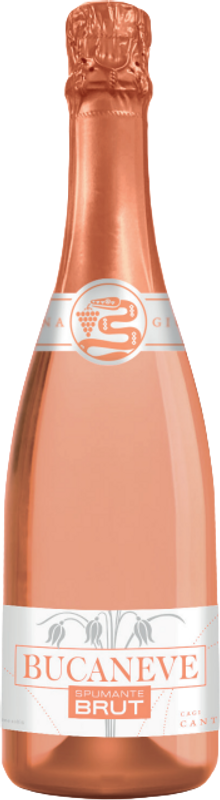 Bottle of Bucaneve Spumante Brut-Rosé from Cantina Giubiasco
