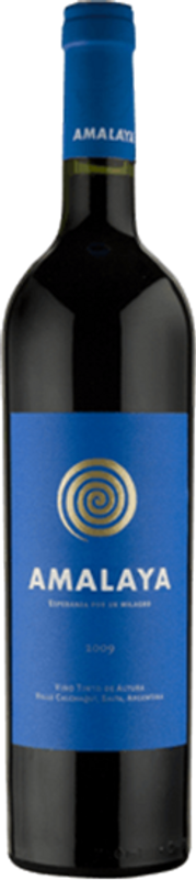 Bottle of Amalaya Malbec from Bodega Amalaya