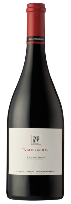 Image of Dominio de Atauta Valdegatiles DO - 75cl - Duero-Tal (Castilla y Leon), Spanien bei Flaschenpost.ch