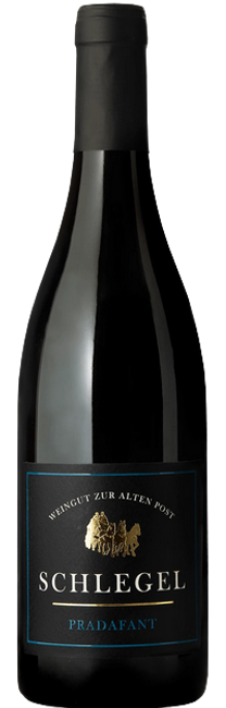 Image of Georg Schlegel Jeninser Pinot Noir Pradafant AOC - 75cl - Bündner Herrschaft, Schweiz bei Flaschenpost.ch