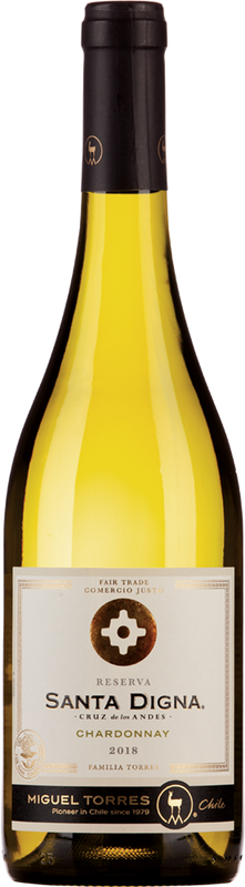 Bouteille de Santa Digna Chardonnay de Miguel Torres