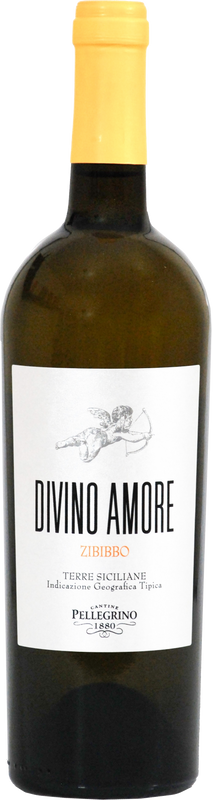 Flasche Divino Amore IGT Cuvee Bianco Sicilia von Cantine Pellegrino Fine