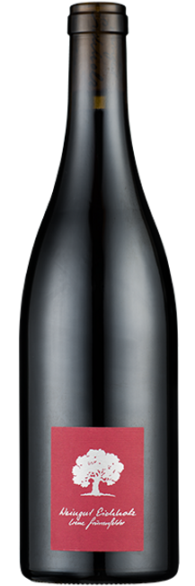 Image of Irene Grünenfelder Jeninser Pinot Noir - 150cl - Bündner Herrschaft, Schweiz bei Flaschenpost.ch