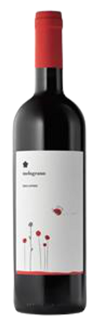Image of Cantina Roccafiore Rosso Melograno Umbria Rosso IGT Bio - 75cl - Umbrien, Italien bei Flaschenpost.ch