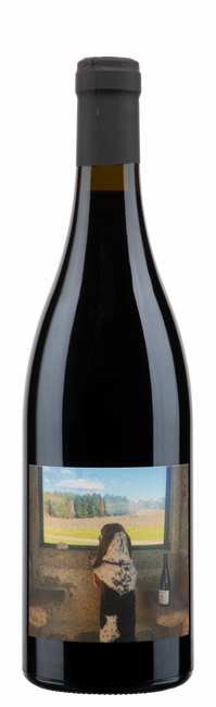 Image of Alvaro Castro Dão DOC Tobias Tinto - 75cl - Dão, Portugal bei Flaschenpost.ch