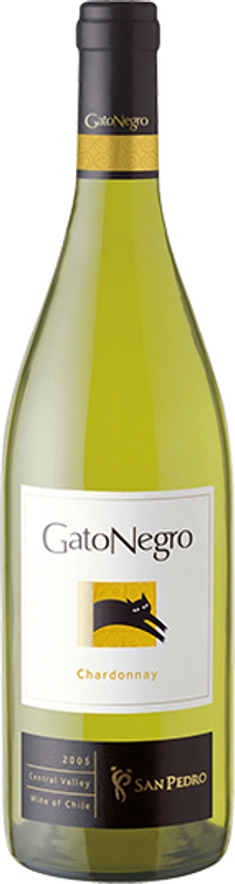 Bottiglia di Gato Negro Chardonnay di San Pedro