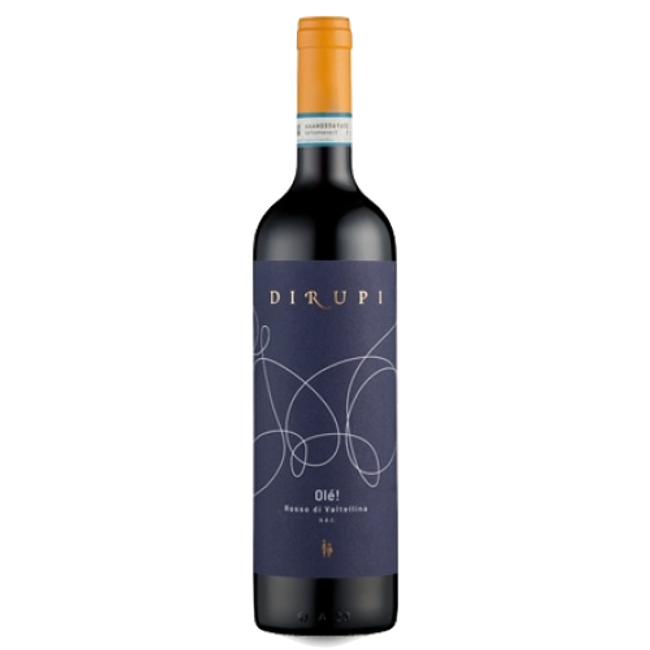 Image of Dirupi Olé! Rosso di Valtellina DOC - 75cl - Lombardei, Italien bei Flaschenpost.ch