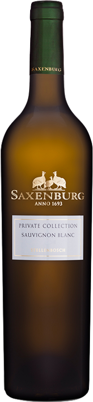 Flasche Private Collection Sauvignon Blanc von Saxenburg