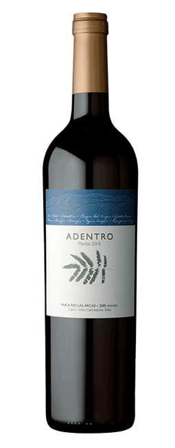 Image of Vinos Adentro ADENTRO Merlot - 75cl - Salta, Argentinien bei Flaschenpost.ch