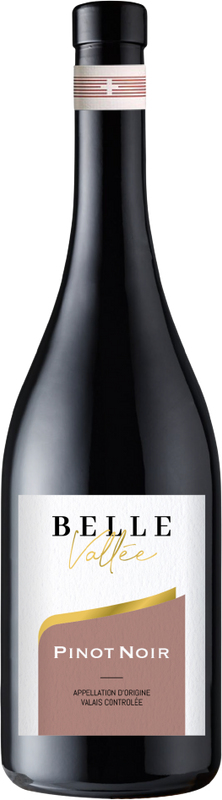 Bottiglia di Pinot Noir AOC Valais Belle Vallée di Jean-René Germanier
