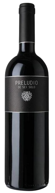 Image of Bodegas Sei Solo Preludio de Sei Solo - 150cl - Duero-Tal (Castilla y Leon), Spanien bei Flaschenpost.ch