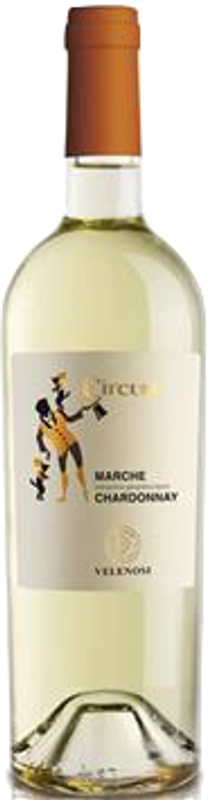 Bottiglia di Chardonnay Circum Marche IGT di Velenosi Ercole Vitivinicola Ascoli Piceno