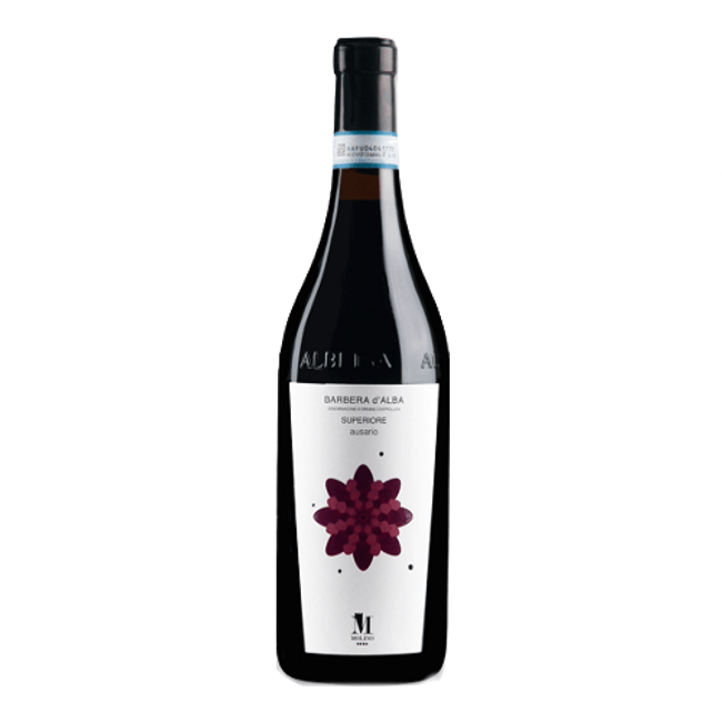 Image of Molino Barbera d'Alba DOCG Superiore Ausario - 75cl - Piemont, Italien bei Flaschenpost.ch