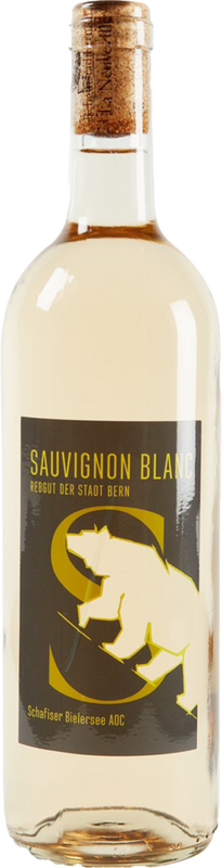 Flasche Schafiser Sauvignon blanc AOC Bielersee / Bio von Rebgut der Stadt Bern