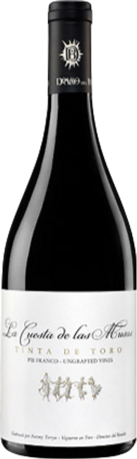 Image of Dominio del Bendito La Cuesta de las Musas Toro DO - 75cl - Duero-Tal (Castilla y Leon), Spanien bei Flaschenpost.ch