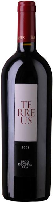 Image of Bodegas Mauro Terreus Castilla y Leon - 75cl - Duero-Tal (Castilla y Leon), Spanien bei Flaschenpost.ch