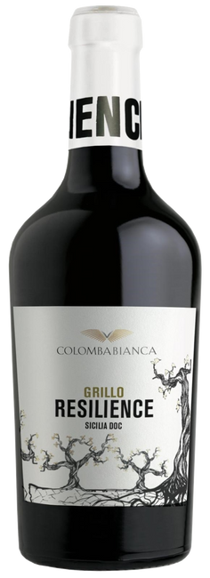 Image of Colomba Bianca Resilience Grillo Sicilia DOC - 50cl - Sizilien, Italien bei Flaschenpost.ch