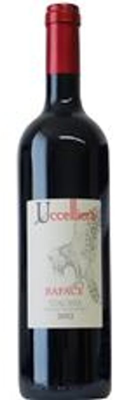 Bottle of Rosso Toscana IGT Rapace from Azienda Agricola Uccelliera