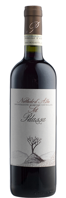 Image of Azienda vitivinicola Mario Pelassa Sot Nebbiolo d'Alba DOC M.O. - 75cl - Piemont, Italien bei Flaschenpost.ch