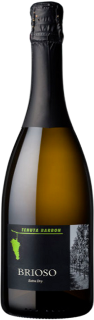 Image of Brioso Prosecco Extra Dry - 75cl - Veneto, Italien bei Flaschenpost.ch