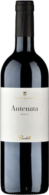 Image of Bindella / Tenuta Vallocaia Antenata Toscana IGT - 150cl - Toskana, Italien bei Flaschenpost.ch