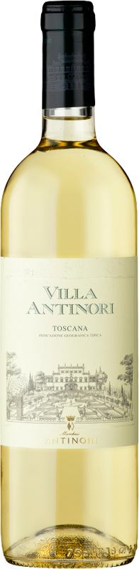 Bottiglia di Villa Antinori Pinot Bianco Toscana IGT di Antinori