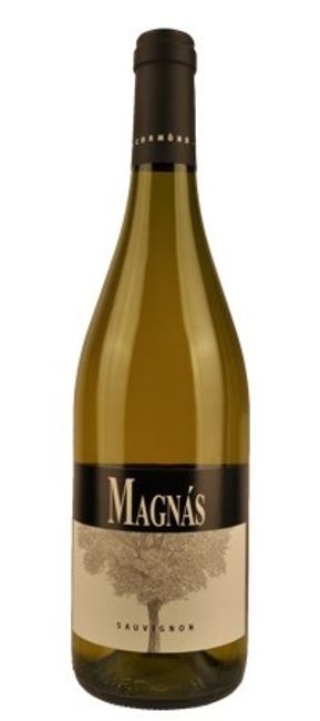 Image of Azienda Agricola Magnàs Sauvignon DOC - 75cl - Friaul, Italien bei Flaschenpost.ch