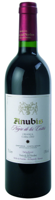 Image of Nordest Anubis negre Empordà-Costa Brava DO - 150cl bei Flaschenpost.ch