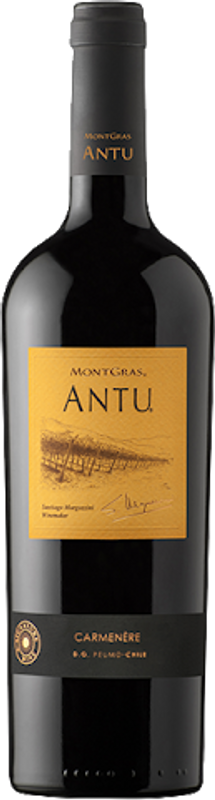 Bottiglia di Antu Carmenère di Montgras