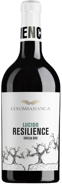 Image of Colomba Bianca Resilience Lucido Sicilia DOC - 75cl - Sizilien, Italien bei Flaschenpost.ch
