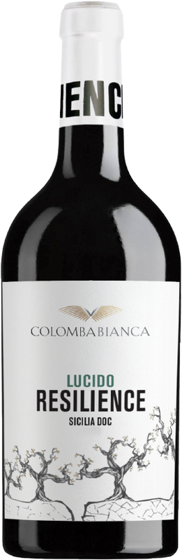 Bouteille de Resilience Lucido Sicilia DOC de Colomba Bianca