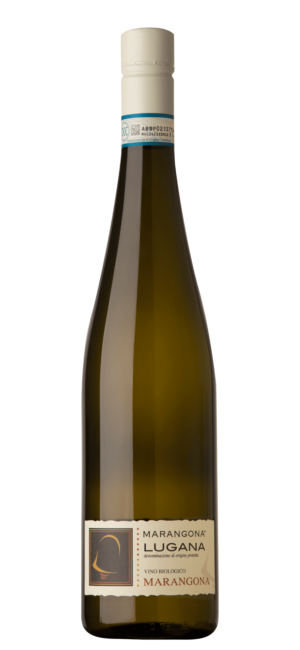 Image of Marangona MARANGONA Lugana DOC - 75cl - Lombardei, Italien bei Flaschenpost.ch