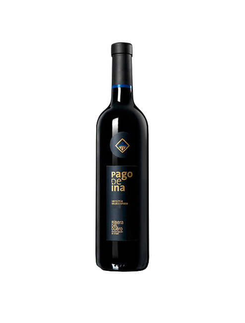 Image of Pago de Ina Selecciòn DO Ribera del Duero - 75cl - Duero-Tal (Castilla y Leon), Spanien bei Flaschenpost.ch