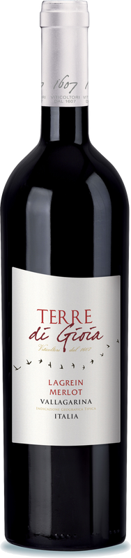 Bottle of Terre di Gioia Lagrein Merlot IGT from Albino Armani