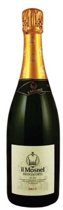 Bottle of Franciacorta DOCG Brut from Il Mosnel