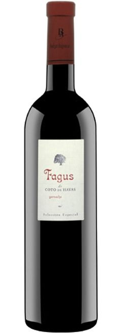 Image of Bodegas Aragonesas Fagus Seleccion Especial - 75cl - Somontano, Spanien bei Flaschenpost.ch