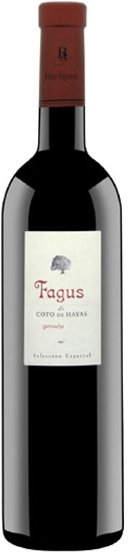 Bottle of Fagus Seleccion Especial from Bodegas Aragonesas