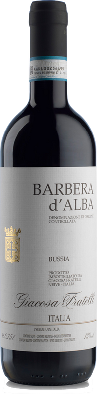 Flasche Barbera d'Alba Vigna Bussia Canavere DOC von Giacosa Fratelli